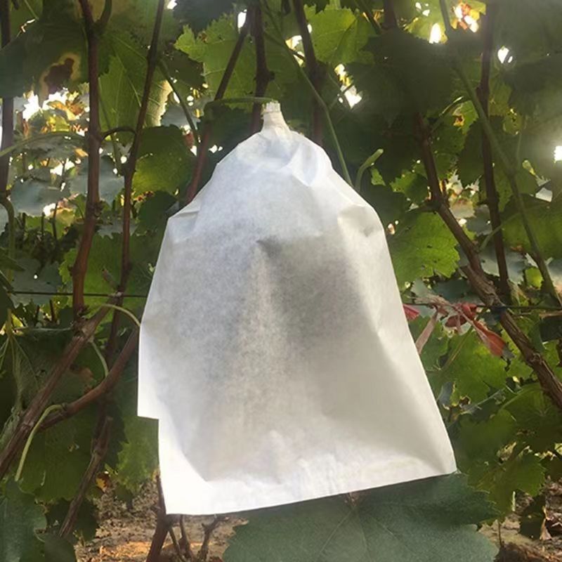 70a4e1beea05eeffbf001247d91e4b