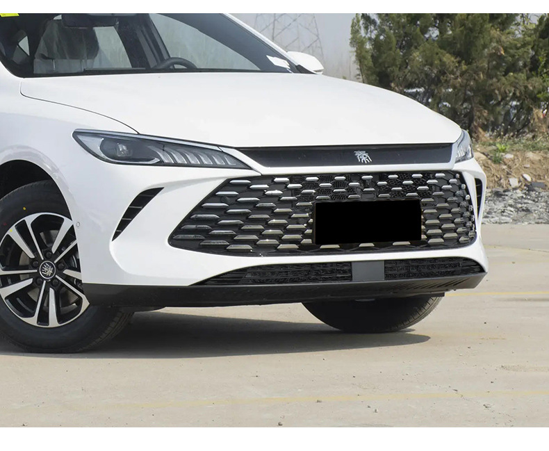 Suitable for 25 Byd Qin Plus Dmi/Ev Smart Driving Snap-On Insect-Proof Nets Without Disassembly of Front Bumper Anti-Mosquito Nets