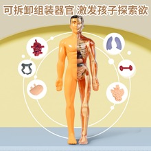 �羳���w�������ģ�����ٹǼܷ����t�W�̾�ƴ�b�Y�����K�ƽ�LC