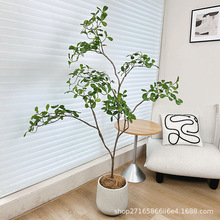 ���ļҴ�����ط���Gֲ�҃ȸ߶��p���b��쾰�[�������٘�ֲ��