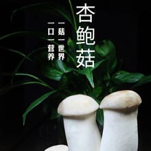 SֱكUƬrʳ߲ƯCϴ