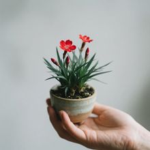 �������˲����������辰����҃ȾGֲ���������k���Һ��Bֲ���ļ�