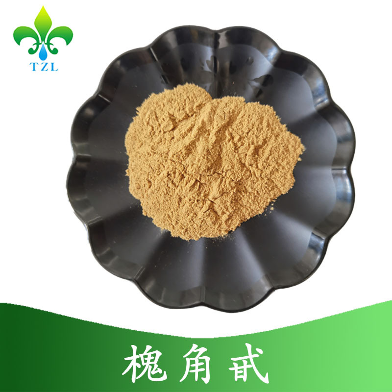 槐角甙20% 槐角提取物10：1 20：1 槐果苷提取物现货直发