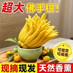 ���ָ��r�����ֹ��в���֦�҃Ȕ[���幩�^�p���ʳ�û�������