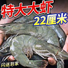 ���r���r���r���r���r���r�����r���r�r�����ˮ�a