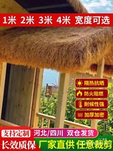 é�ݸ�������ë����픵����r�Ҙ����^��ͤͥԺ��̺ʽ�b���