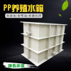 供应PP水箱 耐酸碱腐蚀洗槽  聚丙烯养殖焊接塑料水箱