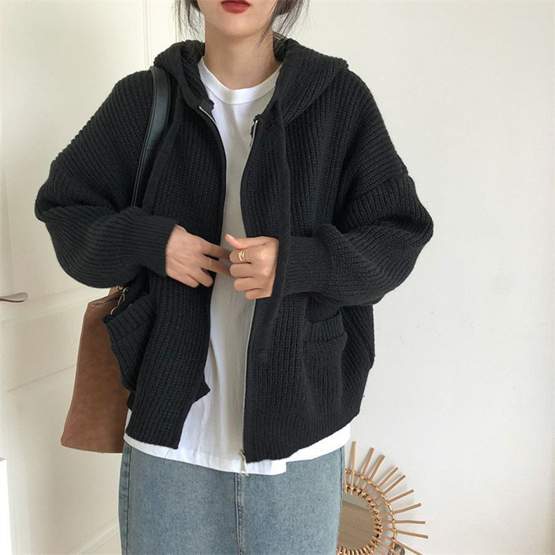 Otoño y invierno chaqueta con cremallera de tendencia casual de mujer grande suéter con capuchón holgado coreano chaqueta retro perezosa doble bolsillo