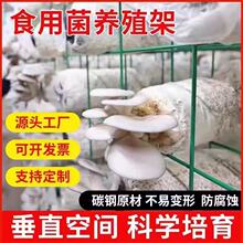 ����ƽ���Nֲ��Ģ���W�ܾ����Bֳ�ܾGɫ�F�z�W�����乽ʳ�þ��W��