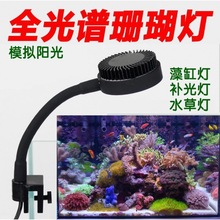 珊瑚灯海水鱼缸水藻缸照明水族箱微缸迷你补光爆藻批发代发