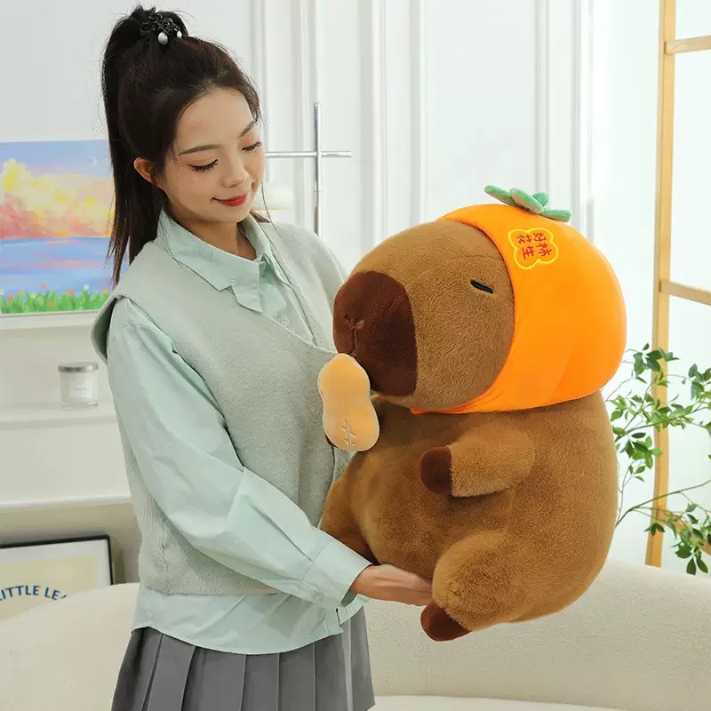 좋은 감이 카피바라에게 생긴다