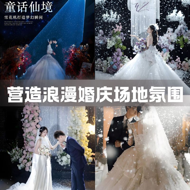 600W軽量リモコン式スノーマシン、結婚式や舞台演出の雰囲気作り、人工降雪機|undefined