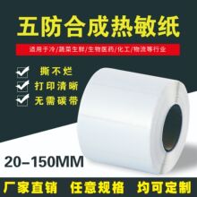 ����������ϳɘ˺���˺����80mmX5060�����zʳƷ���˺��E�A��