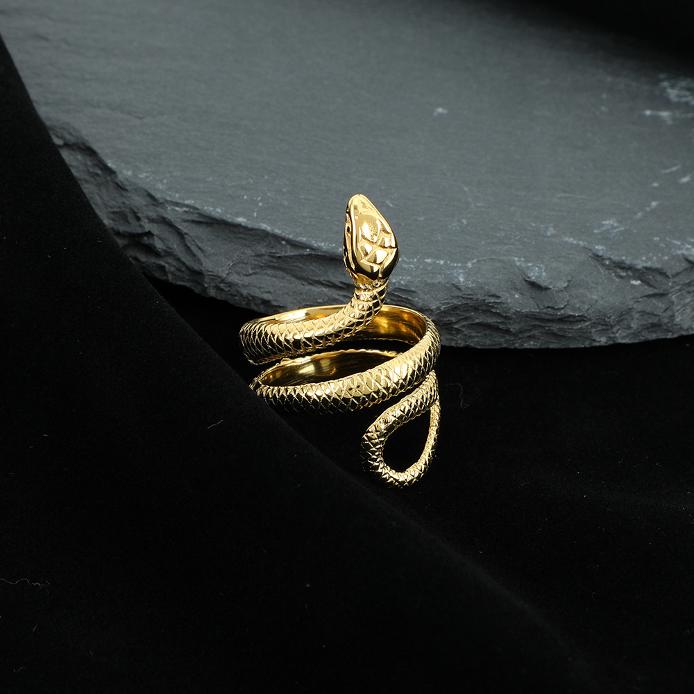 Retro Animal Snake Stainless Steel Plating Unisex Rings display picture 10