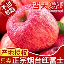 ����ɽ�|��̨�t��ʿ�O�����rˮ�����������䗫ϼ�O��������]