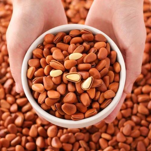 Northeastern pine nuts original open large particles new goods 500g bulk hand peeled red pine New Year snacks nuts large open
