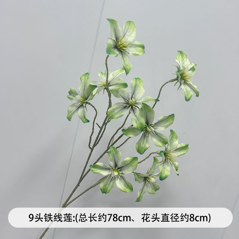 芦荀草绿植花龙须草假花白绿森系婚庆装饰自然风背景插花路引|undefined