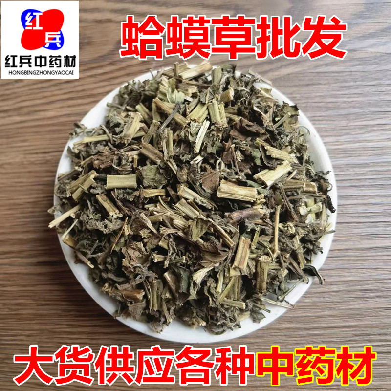 Dried Litchi Grass Herba Salviae Plebeiae 500g Traditional Chinese Herb for Decoction and Tea overview