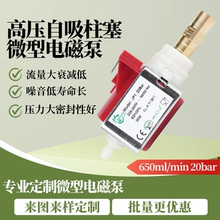 厂家定制高压自吸泵220-240V耐腐蚀柱塞式往复电磁泵咖啡机电磁泵