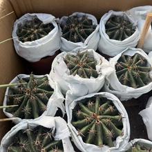 �̴̾�����Shackea tsarchive�����Gֲ�҃��ļ�������