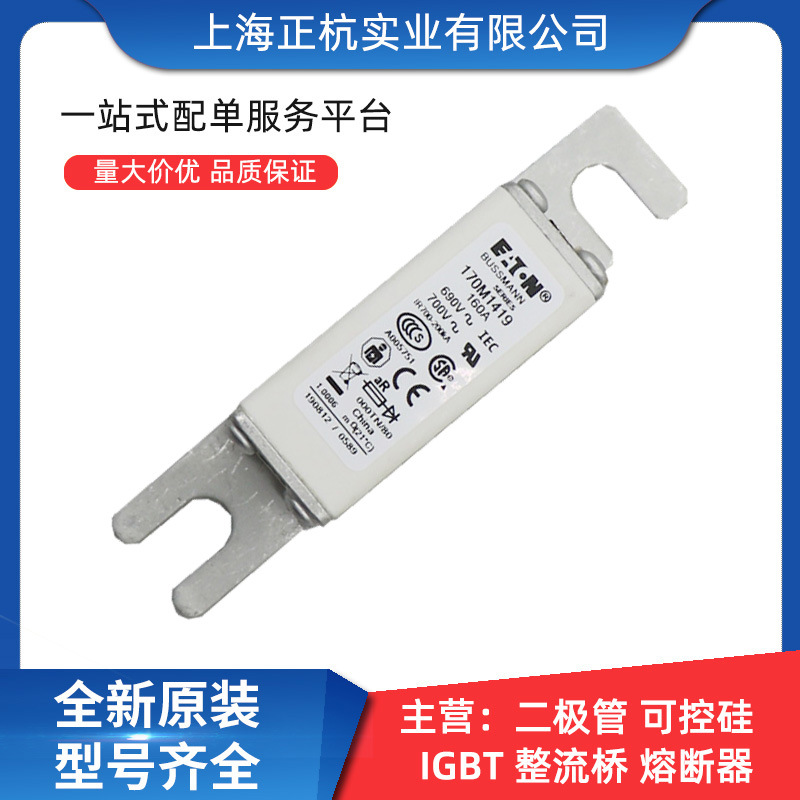 170M1419  170M4265智能跌落式低压快速熔断器 全新原装 量大从优