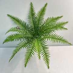 シダの葉の排草シダ類ペルシャの草の植物のシダの葉のシダの植物の壁のペルシャの葉の魚の尾のシダのシミュレーションの草