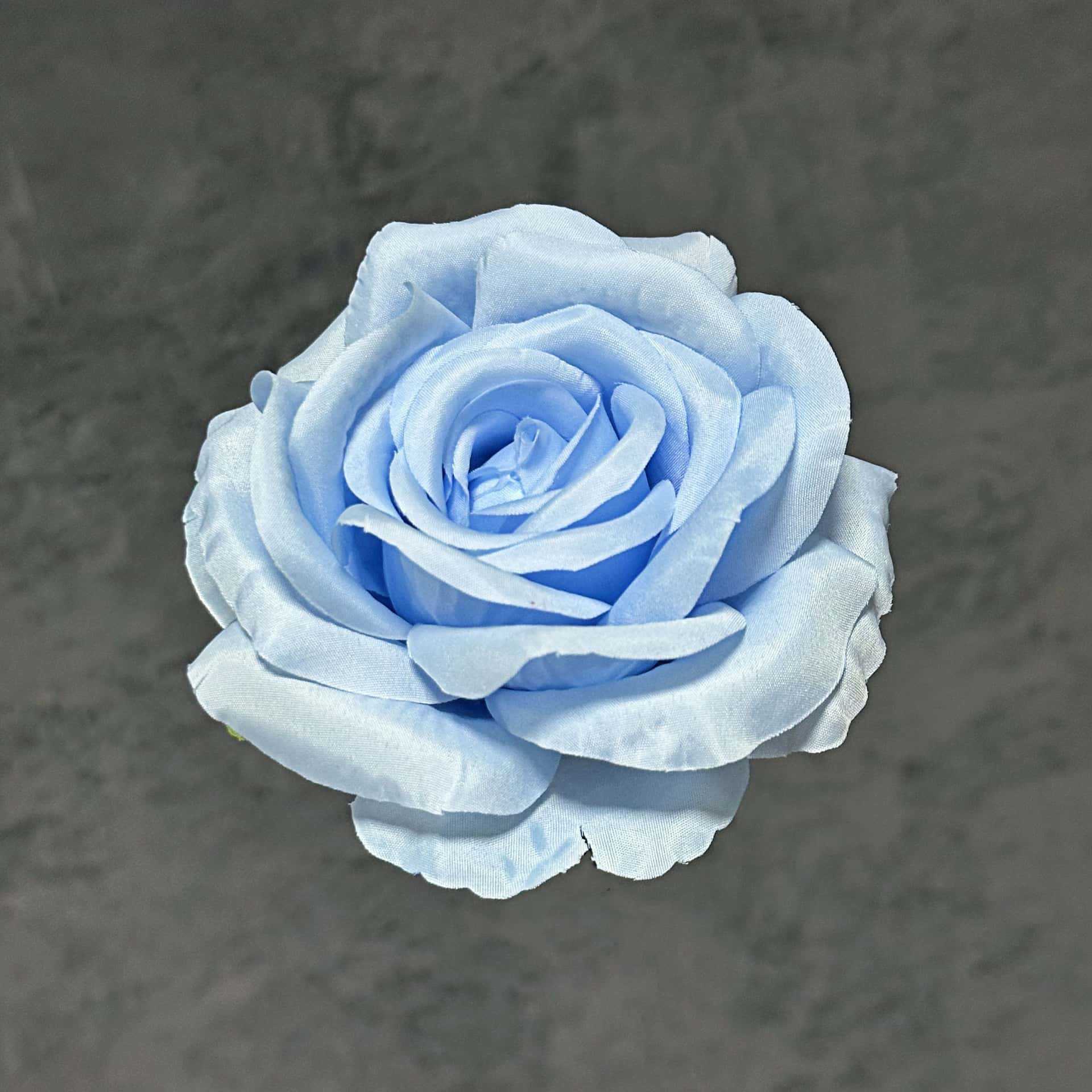 Franela artificial flor Rosa cabeza ramillete rojo boda flor pared tiro apoyos flor artificial arco flor artificial al por mayor