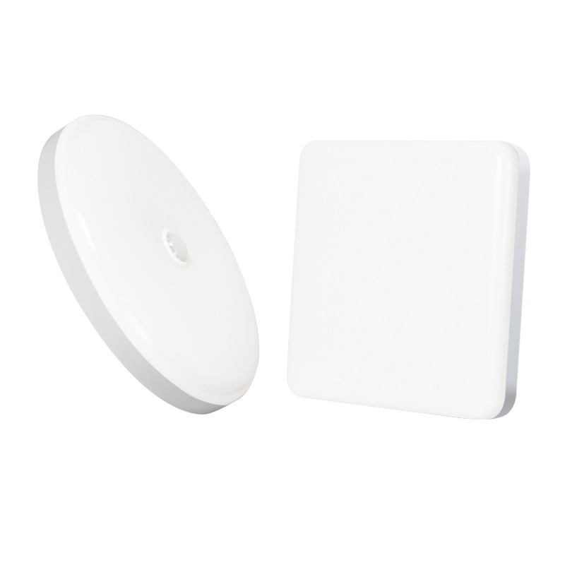 Mariposa Placa de luz 30W balcón Cuerpo Humano LED luz de la inducción resalte a prueba de humedad ultra-delgada luz de techo suministro transfronterizo Venta caliente