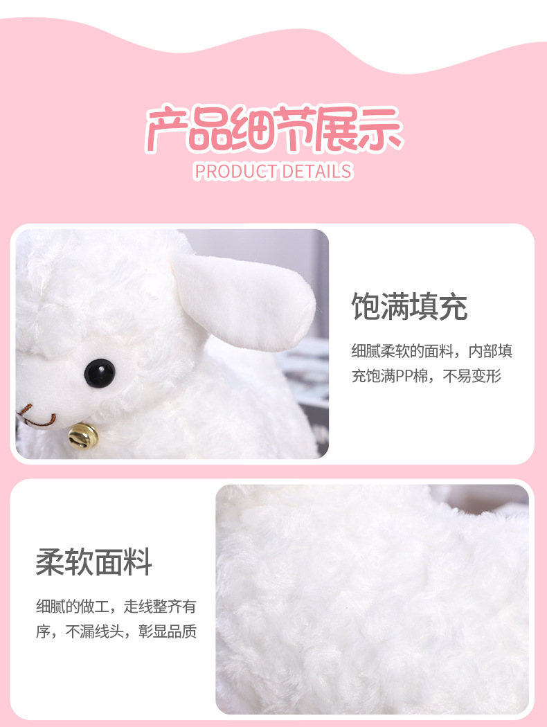 5详情页_14.jpg