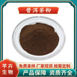 普洱茶粉 普洱茶提取物 水溶好 普洱茶浓缩粉 厂家1KG起现货包邮