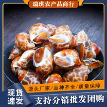 �����r�����r���ݺ��rˮ�a�r���r������|�L���ش���ؐ�  ����