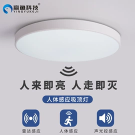 LED应急灯;应急指示灯具;感应开关