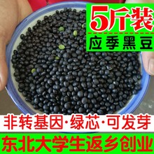 东北绿芯心小黑豆新鲜农家自产5斤装五谷杂粮豆芽豆浆醋泡青仁豆