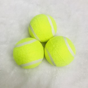 �S��ֱ�N����W�򹷹���ҧ������ĥ���z4.8cm�W��