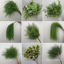 �¿��c�Gֲ���ĵ�픻���Y�廨��ˇ�J���ݽ����G�~�ٻ�����