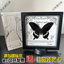 ������˱��Ҹ������Ҿ����w�b[���������նY����ս̌W��Ʒ