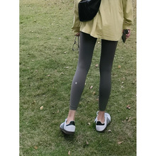 luluԭ��Align�٤ѝС�Ș˟o���ξ�����H�w�����@���\�Ӿŷ�ѝ