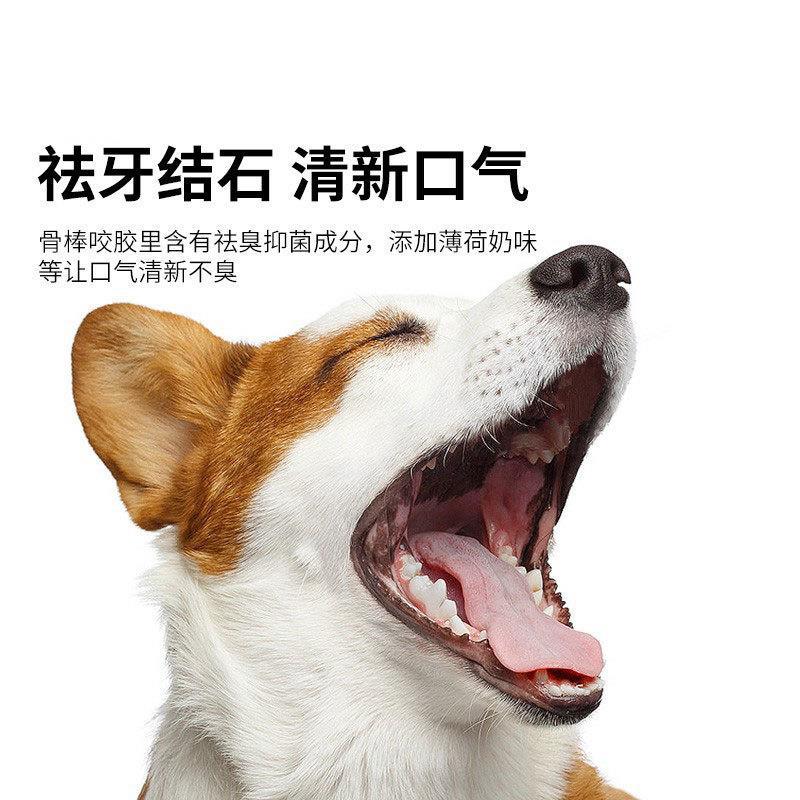 Aperitivos para perros Cepillo de dientes Palillo molar 90g Perros pequeños y medianos Golden Retriever Recompensa de mordedura Teddy Bichon Comida para perros