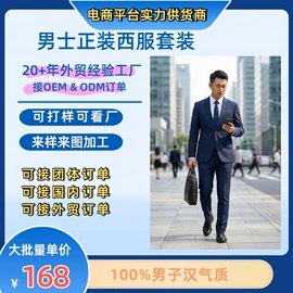 男式商务西服