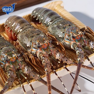 ����S���]�������|ɽ�uС�����r�����r�������r���r������r���r