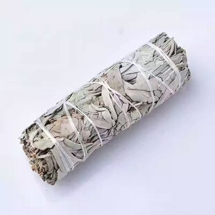 ���ݰ���β��White Sage������޹�ȃ������gѩ���ș��ʲ�
