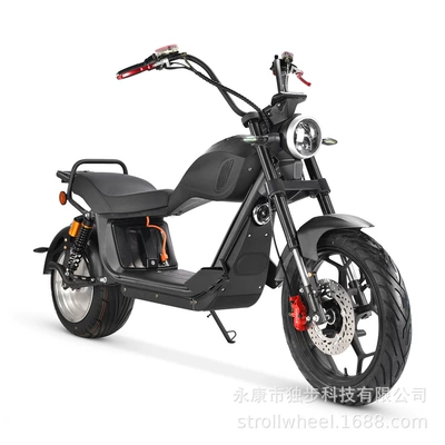 European Warehouse Dropshipping Electric Motorcycles for Outdoor Riding, Best-Selling Overseas 2000W Balance Bikes with Eec Certification (Elektrikli motosikletlər) - black-60v20ah