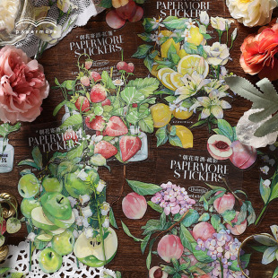 PaperMore�����ľ�ϵ��PET�N��������ֲ��DIY�֎��ز��N�� 4��