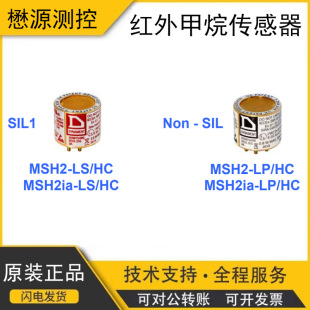 MSH2-LS/HC MSH2ia-LS/HC Methane Sensor UK DYNAMENT Original MSH2-LP/HC