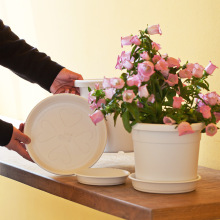 �β������֬�A��ƽ߅�����бP��ˮ�P����ױP���⻨�����еױP