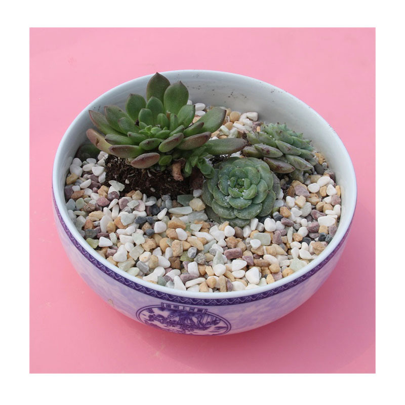 ʯͷŷ滨װ|ɫ+̻ʯ쾰