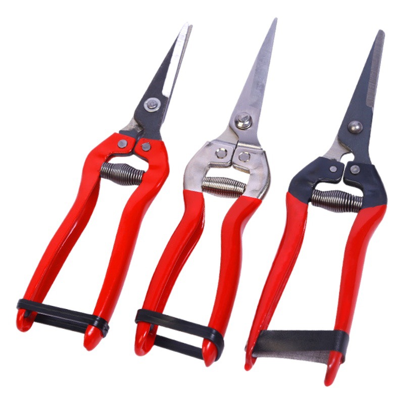 Winda tijeras de recolección de frutas de acero inoxidable cosecha de uvas tijeras de frutas raras tijeras de naranja níspero tijeras de poda de jardinería al por mayor