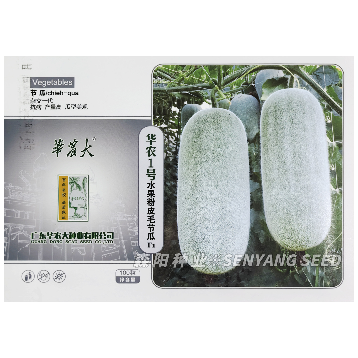 华农1号水果粉皮毛节瓜早中熟嫩老两用粉皮小冬瓜春秋季耐热耐寒