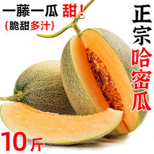 ���ܹϱ������rˮ�������r��Fժ��ϾW�y����������10��