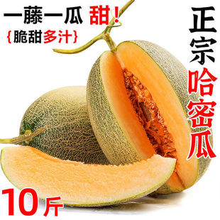 ���ܹϱ������rˮ�������r��Fժ��ϾW�y����������10��